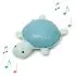 Musical Animals - Emilie the Turtle
