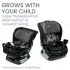 Poplar Convertible Car Seat - Stone Onyx