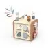5 in 1 Activity Cube
