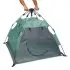PeaPod Camp - Seafoam