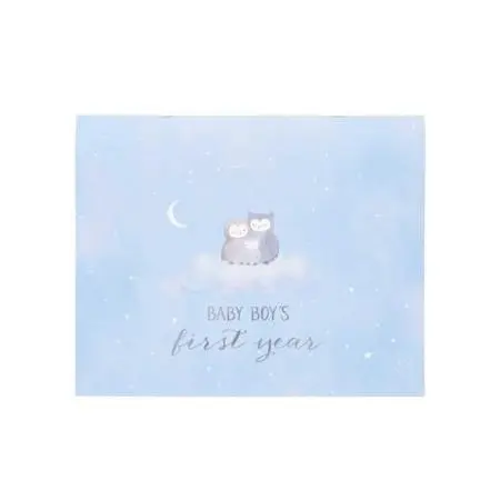 Babys First Year Calendar Wish Upon A Star 316232