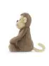 Bashful Monkey