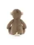 Bashful Monkey