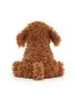 Dapper Dog Cooper Labradoodle Pup
