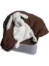 Silky Bunny Lovey - White - 13 inch