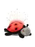 Twilight Ladybug