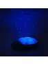 Twilight Turtle - Blue