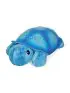 Twilight Turtle - Blue
