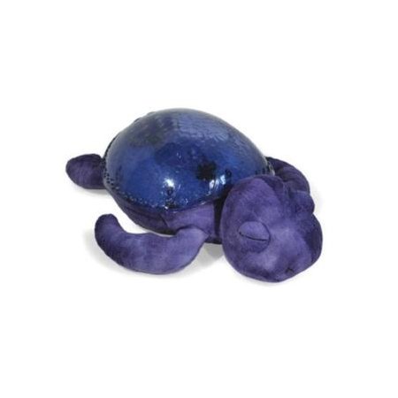 Tranquil Turtle Ocean