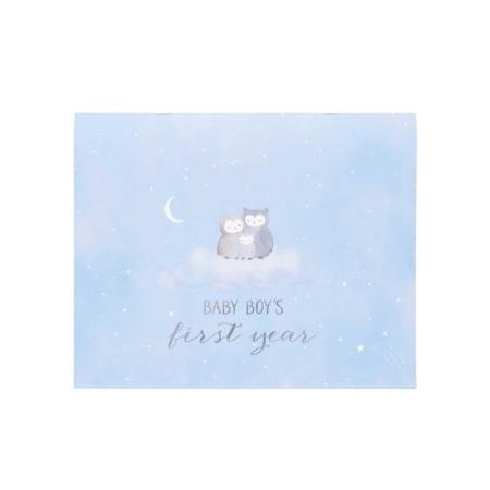 Babys First Year Calendar Wish Upon A Star 316232
