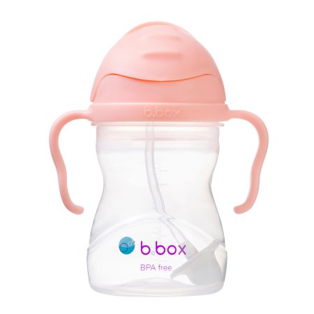 B.Box Sippy Straw Cup 240ml - Tutti Frutti