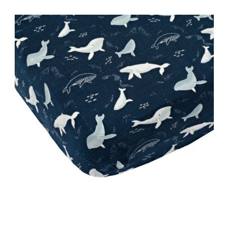 Crib Sheet - Blue Whales