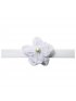 Pearl Princess Headband White Bwpphb
