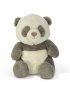 Peaceful Panda 