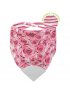 Bubbly Teething Bib - Rose