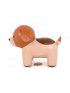 Musical Animal - Adrien The Dog