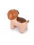 Musical Animal - Adrien The Dog