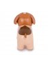 Musical Animal - Adrien The Dog