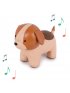 Musical Animal - Adrien The Dog