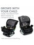 Poplar Convertible Car Seat - Stone Onyx