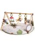 Boho Luxe Gymini