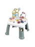 Activity Table