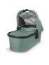 V2 Vista/Cruz Bassinet - Gwen