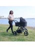 2022 Era/Indie/Speed Bassinet - Black