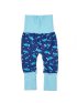 Swim Pants - Alectrick-Aqua