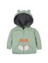2 Piece Hoodie + Pant - Fox