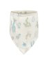 3 Pack Bibs - Desert Cactus