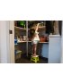 Step - Folding Step Stool - Lime