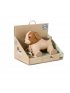 Pull Along Toy - Adrien the Dog