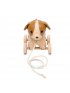 Pull Along Toy - Adrien the Dog