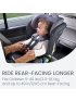 Poplar Convertible Car Seat - Stone Onyx