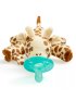 Natural Bottle Essentials Gift Set