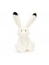 Arlo Hare