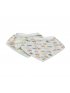 Bandana Bib 2 Pack - Camper Vans