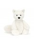 Bashful Arctic Fox Original