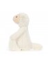 Bashful Lamb