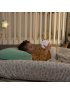 Mat - Kids Inflatable Air Mattress