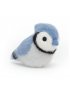 Birdling Blue Jay