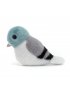 Birdling Pigeon
