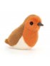 Birdling Robin