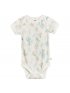 Bodysuit 3 Pack - Desert Cactus