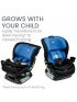 Poplar Convertible Car Seat - Cobalt Onyx