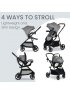 Willow Brook Travel System - Graphite Glacier