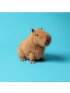 Clyde Capybara