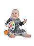 Color Palette Popper Sensory Toy
