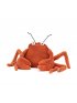 Crispin Crab 16